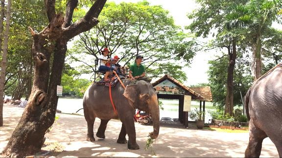 Đi đâu cuối tuần: khám phá Vườn Xoài - 4 Đi đâu cuối tuần: khám phá Vườn Xoài - 4