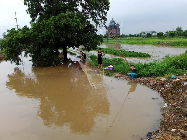 Hà Nội: Người dân rủ nhau bắt cá sau mưa bão - 5
Nhiều người dân đang dùng vó, cần câu, lưới… để bắt cá.