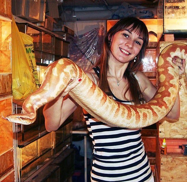 Cho rắn độc cắn rồi livestream cảnh chết dần để xin lỗi vợ - 4 Vợ của anh cũng là một chuyên gia về các loài bò sát