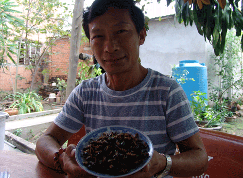 Ông trùm nuôi dế và giấc mơ “bột dế Việt Nam” - 2 Đặc sản dế xào mặn của Trại dế Trương Thanh Dũng. Ảnh: Q.H