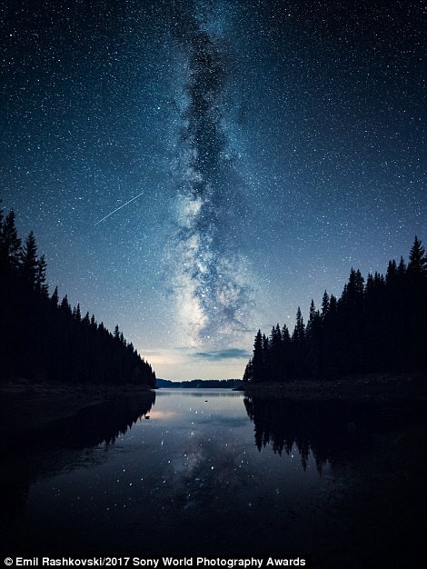 Chiêm ngưỡng những bức ảnh đạt giải nhiếp ảnh thế giới - 5 Chiêm ngưỡng những bức ảnh đạt giải nhiếp ảnh thế giới - 5