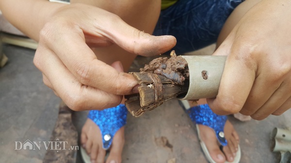 Kiếm cả triệu đồng mỗi ngày giữa mùa nắng nóng nhờ bẫy con da trơn - 2 Kiếm cả triệu đồng mỗi ngày giữa mùa nắng nóng nhờ bẫy con da trơn - 2