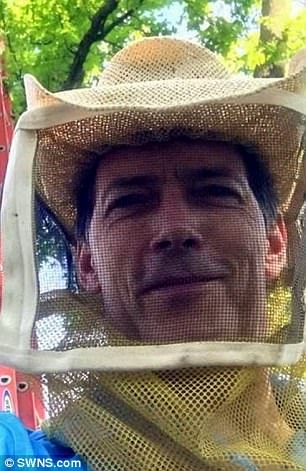 
Mickey nói ông chưa bao giờ thấy tổ ong trong nhà nào lớn tới vậy.
