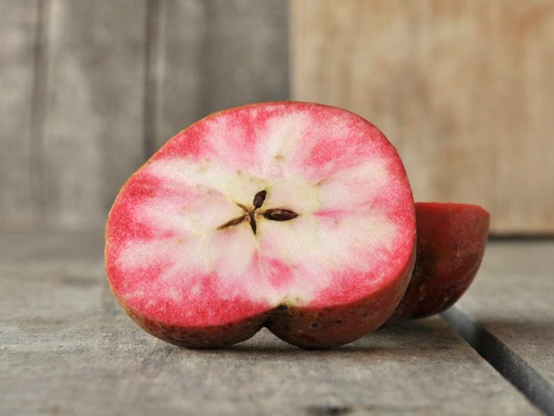 Mê mẩn loại táo Mỹ lạ..."xanh vỏ - hồng lòng" siêu dễ thương - 2
Là một trong những loại táo được ưa chuộng và bán chạy nhất tại Mỹ, giống táo lõi hồng có tên Hidden Rose, hay còn được gọi là Airlie Redflesh.