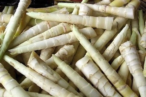 Rau rừng giá tới 120.000 đồng/kg vẫn được chị em săn đón - 2
Măng sặt có vụ mùa khá ngắn, chỉ từ cuối tháng 2 đến đầu tháng 4 dương lịch, nếu mua trái vụ giá còn bị độn lên gấp đôi. Ảnh: H.N