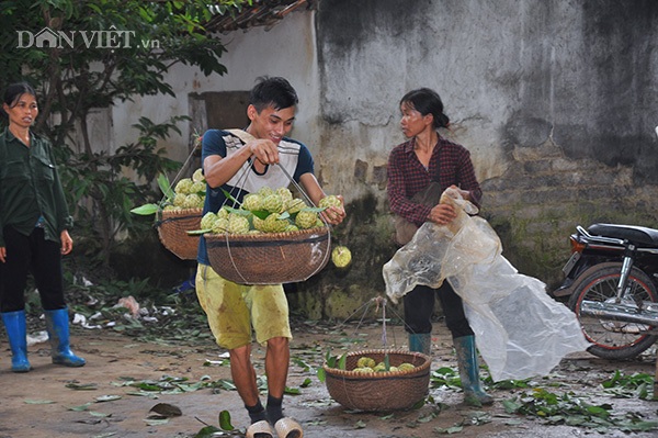 Nhộn nhịp chợ na cuối vụ ở "cổng trời" biên ải - 2 Nhộn nhịp chợ na cuối vụ ở "cổng trời" biên ải - 2