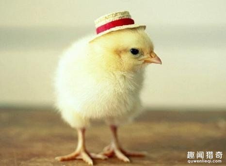 8 nghề lạ thu nhập gần tỷ đồng mỗi năm trên thế giới - 2 8 nghề lạ thu nhập gần tỷ đồng mỗi năm trên thế giới - 2