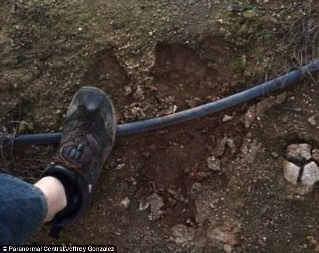 Phát hiện gia đình 5 Quái vật chân to trong rừng Mỹ? - 2
Bigfoot đã vấp vào ống nước dưới chân và ngã, theo Gonzalez