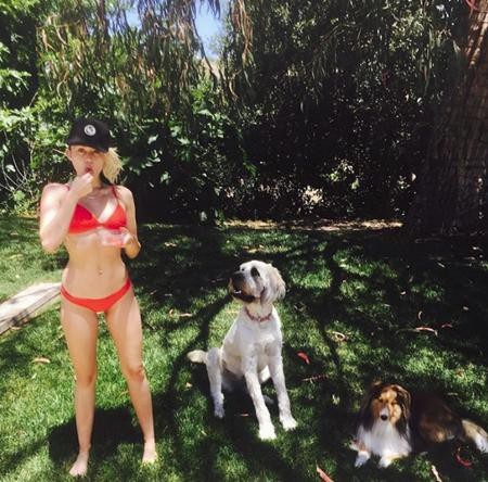 Sao và những màn diện bikini hở bạo trong năm qua - 5 Miley Cyrus khoe dáng nuột nà bên đàn chó thân yêu