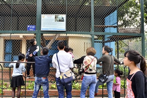Các điểm vui chơi ở Thủ đô đông nghịt khách 3 ngày Tết - 7 Các điểm vui chơi ở Thủ đô đông nghịt khách 3 ngày Tết - 7