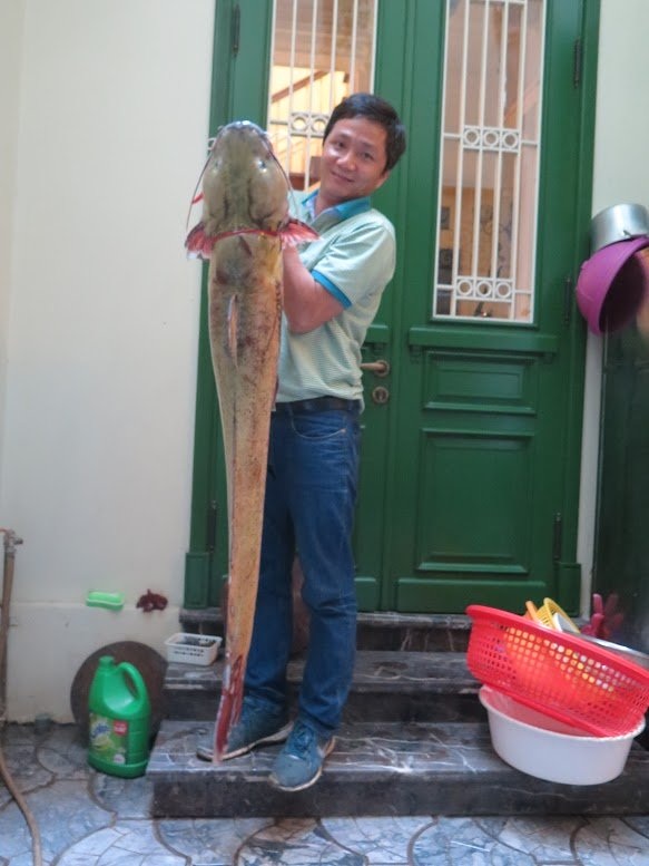 Đại gia xẻ thịt cặp cá lăng 200 kg làm đại tiệc mời khách - 7
Con cá Sông Đà dài gần 1,6m.