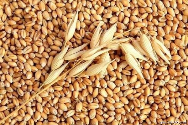 10 món ăn "kinh điển" khó quên của người Việt thời bao cấp - 7 10 món ăn "kinh điển" khó quên của người Việt thời bao cấp - 7