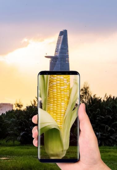 Galaxy S8 gây ấn tượng với loạt ảnh sáng tạo - 6 Galaxy S8 gây ấn tượng với loạt ảnh sáng tạo - 6