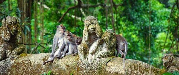 Đến thăm những khu rừng đẹp như thần tiên - 7 Đến thăm những khu rừng đẹp như thần tiên - 7