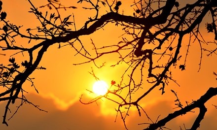 Mê hoặc chiều dát vàng Hồ Gươm - 8