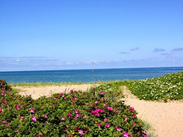 8 lý do đến Đan Mạch trong thời gian sớm nhất - 7