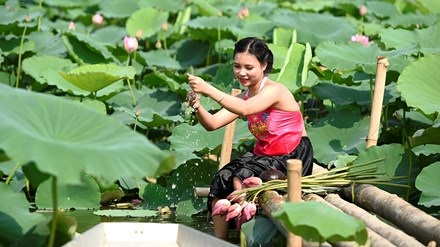 Chủ hồ sen mở dịch vụ thuê áo yếm, trang điểm thu bộn tiền - 8
Để có được hình ảnh tự nhiên và sinh động, bạn trẻ này không ngần ngại múc nước hồ hất lên chân mình giữa thời tiết nắng nóng.
