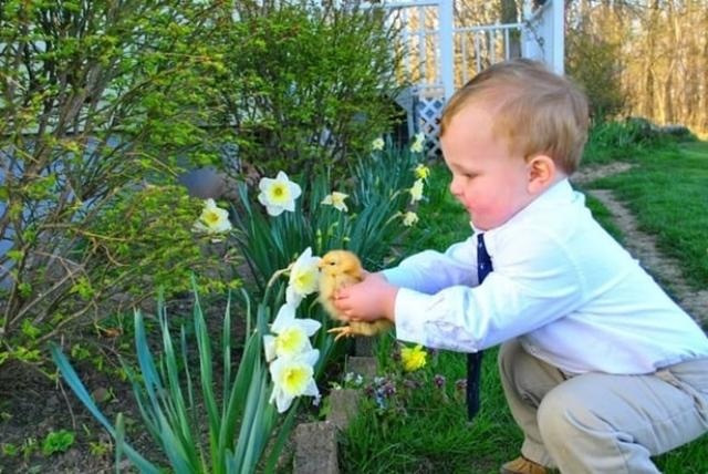 Những khoảnh khắc đẹp giữa đời thường có thể khiến tim bạn tan chảy vì cảm động - 7 Bé trai cho gà con ngửi hương hoa