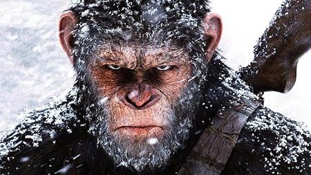 Cân đong các bom tấn – bom xịt của điện ảnh trong năm qua - 7 Bom tấn: “War for the Planet of the Apes” là đoạn kết đầy tinh tế và hoàn hảo cho hành trình oai hùng, bi tráng của chú khỉ Caesar. Bộ phim không chỉ là cuộc giao tranh vũ lực giữa hai giống loài mà còn là trận chiến của tư tưởng, tâm lý, của sự thù hận, ích kỷ với lòng vị tha và cảm thông trong bản ngã của chính mỗi con người.