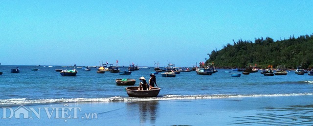 Mỗi đêm thu chục triệu đồng nhờ tôm hùm nhí - 3 Đội tàu, thuyền thúng của ngư dân vùng biển Núi Thành vào mùa khai thác tôm hùm nhí