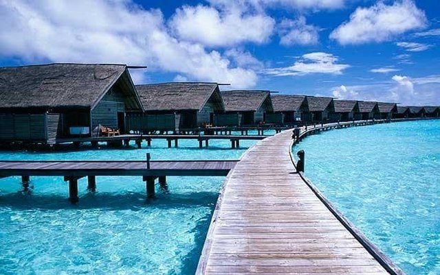 Vua siêu giàu Ả Rập Saudi: Dân chơi bậc nhất Trung Đông - 3 Vua siêu giàu Ả Rập Saudi: Dân chơi bậc nhất Trung Đông - 3
