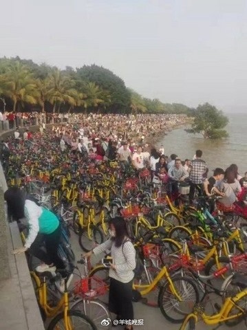 Vạn xe đạp chen nhau không lối thoát ở Trung Quốc - 3 Vạn xe đạp chen nhau không lối thoát ở Trung Quốc - 3