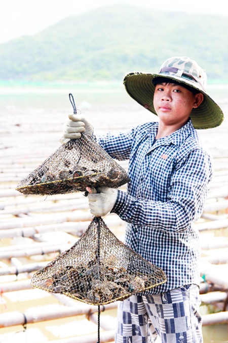 Nghề "chăm con mọn" ở đầm Nha Phu thu bạc triệu - 3 Nghề "chăm con mọn" ở đầm Nha Phu thu bạc triệu - 3