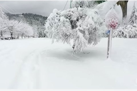 
Cảnh tuyết rơi như ở xứ sở của bà chúa tuyết tại Portland, Mỹ
