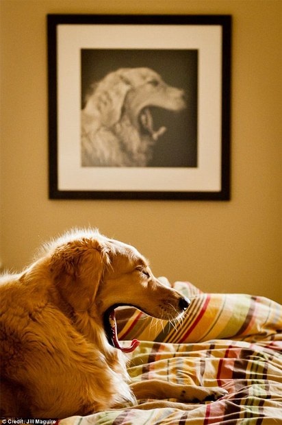 Những bức ảnh trùng hợp tình cờ đầy thú vị - 9