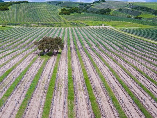 Những bức ảnh chụp từ trên cao đốn tim du khách - 9