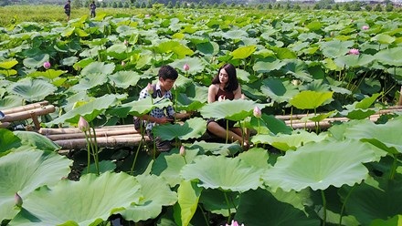 Chủ hồ sen mở dịch vụ thuê áo yếm, trang điểm thu bộn tiền - 10
Phút nghỉ ngơi và trao đổi hiếm hoi của nhiếp ảnh và người mẫu.