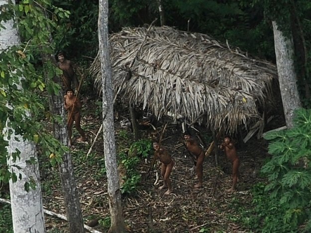 Những bức ảnh cho thấy con người đã phá hủy rừng Amazon như thế nào? - 9 Những bức ảnh cho thấy con người đã phá hủy rừng Amazon như thế nào? - 9