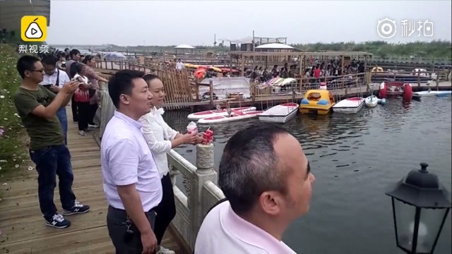 Điểm du lịch vốn vắng vẻ bỗng hút khách nhờ đàn lợn “nhảy cầu tập bơi” - 3 Du khách thích thú quay cảnh lợn nhảy cầu