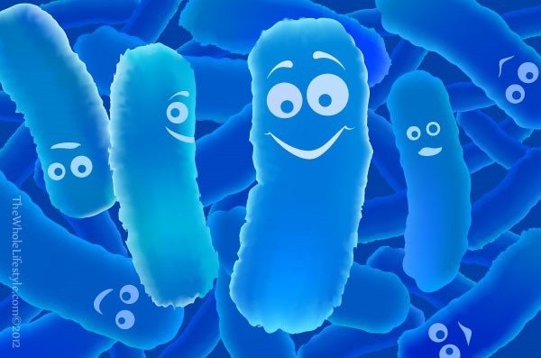 Probiotic có thể giúp ngăn ngừa trầm cảm - 1 Probiotic có thể giúp ngăn ngừa trầm cảm - 1
