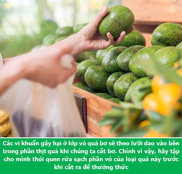 Những mẹo cần biết khi sử dụng và bảo quản quả bơ - 3 Những mẹo cần biết khi sử dụng và bảo quản quả bơ - 3