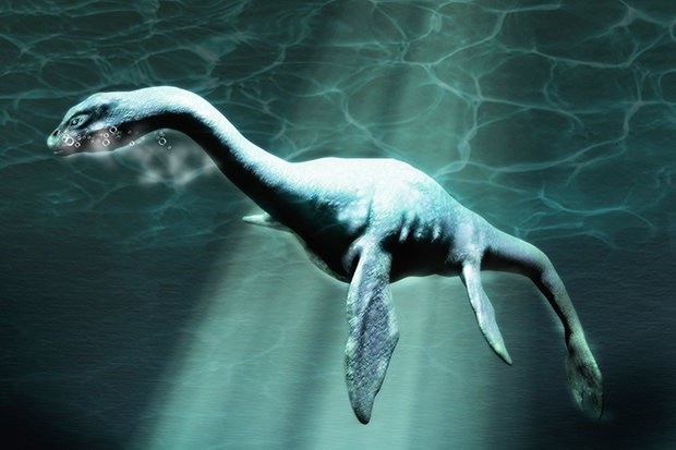 Xác loài vật 150 triệu năm tuổi giống hệt Quái vật hồ Lochness - 1
Mô phỏng quái vật biển Plesiosaur.