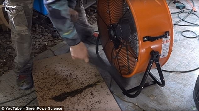 Dùng chó làm mồi giết 4.000 con muỗi một đêm - 1
Chiếc quạt công nghiệp để bắt muỗi.