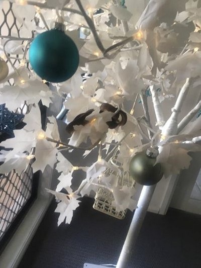 Giật mình phát hiện rắn ẩn náu bên trong cây thông Noel trang trí trong nhà - 1 Con rắn đang ẩn nấp trên cây thông Noel đang được đặt trong nhà