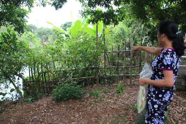 
Xung quanh nhà bà Mến bị rào kín.

 
