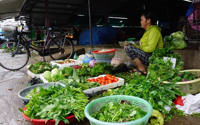 Nghệ An: Mưa lũ kéo dài, giá rau xanh tăng phi mã - 2 Giá rau xanh tăng cao nên lượng tiêu thụ không lớn