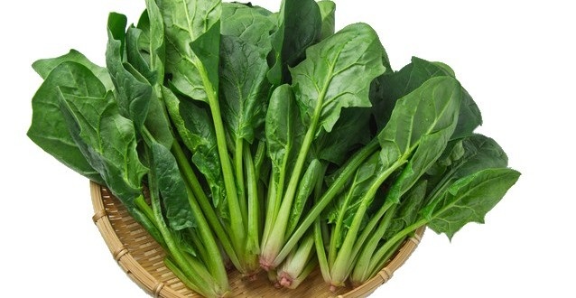Những thực phẩm là “kẻ thù không đội trời chung” của tế bào ung thư - 3 Những thực phẩm là “kẻ thù không đội trời chung” của tế bào ung thư - 3