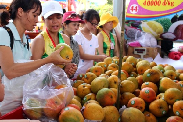Trung Quốc gom mua 3/4 lượng rau quả Việt Nam - 1 Nhiều mặt hàng xuất khẩu của Việt Nam đang phụ thuộc duy nhất vào thị trường Trung Quốc (ảnh minh hoạ)