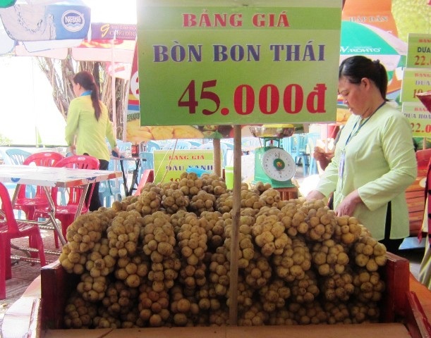Chớm hè, rau quả Thái đã "ùn ùn" đổ về Việt Nam - 1 Đầu hè, rau quả Thái lại ùn ùn đổ về Việt Nam (ảnh minh hoạ)