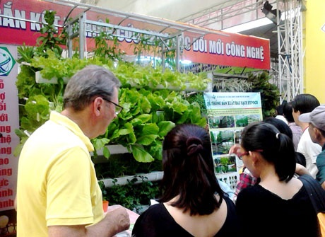 1 ha rau thủy canh ở TPHCM thu đến 5 tỷ đồng/năm - 3 Theo ông Nguyễn Phước Trung - Giám đốc Sở Nông nghiệp và phát triển nông thôn TPHCM, với 1 ha trồng rau sạch thủy canh doanh nghiệp có thể đạt doanh thu đến 5 tỷ đồng/năm