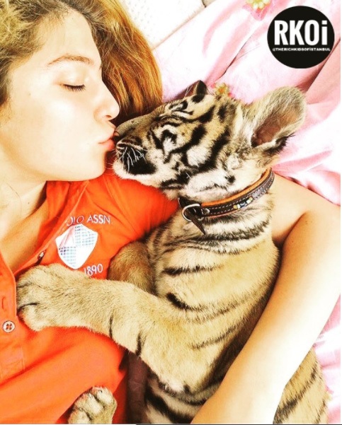 Thú cưng hổ, trăn: Mốt chơi trội của con nhà giàu Thổ Nhĩ Kỳ - 4 Cô gái con nhà giàu đang hôn thú cưng của mình là một con hổ con. (Nguồn RKOI)