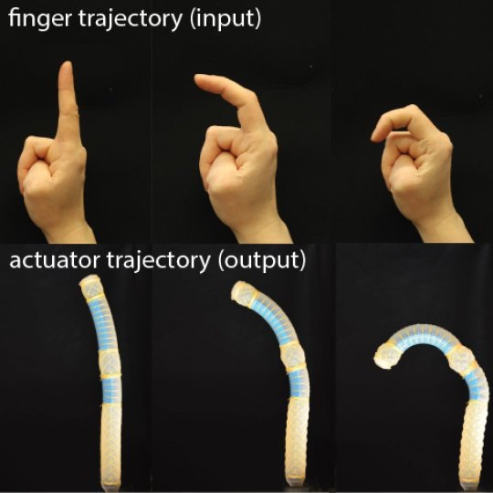 Robot mềm bắt chước chuyển động sinh học - 1 Các nhà nghiên cứu đã phát triển một phương pháp để có thể thiết kế một robot mềm có thể tự di chuyển - uốn cong như một ngón tay hay xoay như cổ tay.