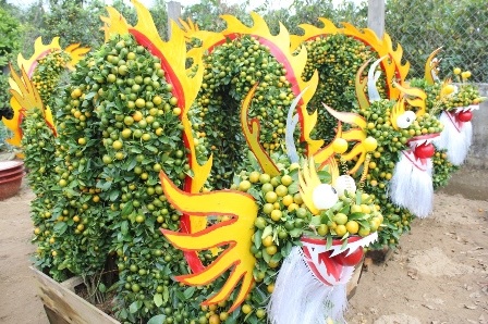 Những linh vật ngày Tết được làm bằng cây kiểng “siêu độc” - 11 Những con rồng làm bằng cây kiểng qua bàn tay khéo léo của các nghệ nhân ở miền Tây