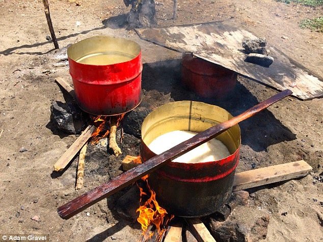 Du khách hủy tour sau khi chứng kiến cảnh cá voi bị cắt khúc - 5 Đun thịt cá để lấy dầu