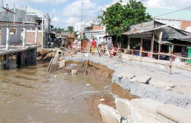 Vụ sạt lở ở Cà Mau: Dân mất ăn mất ngủ lo sạt lở lan rộng - 7 Tình trạng sạt lở ở xã An Mỹ, huyện Kế Sách.