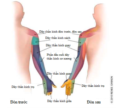 6. Lời khuyên để phòng tránh tê tay khi ngủ